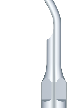Refine G1 – Tip do skalera Refine, Woodpecker, EMS