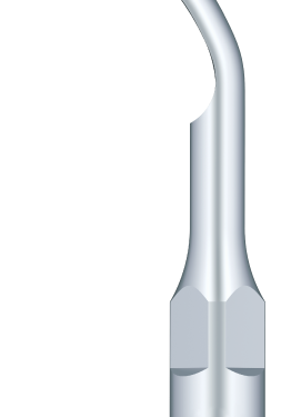 Refine G2 – Tip do skalera Refine, Woodpecker, EMS