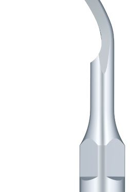 Refine P1 – Tip do skalera Refine, Woodpecker, EMS